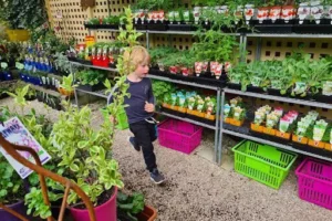Crafers Garden Centre