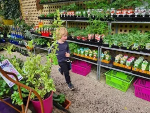 Crafers Garden Centre