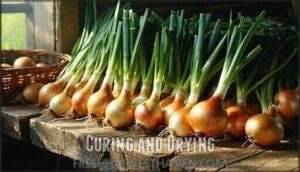 curing and drying