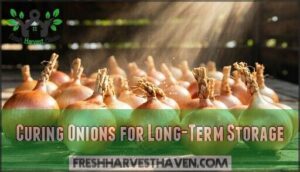 curing onions for long-term storage