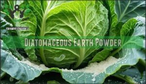 diatomaceous earth powder