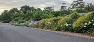 Dig This Landscape Garden Supplies