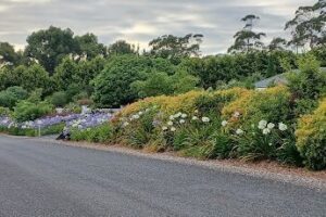 Dig This Landscape Garden Supplies