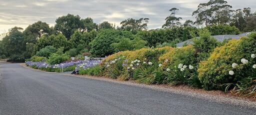 Dig This Landscape Garden Supplies
