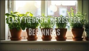 easy to grow herbs for beginners
