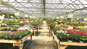 Edgewood Nursery & Garden