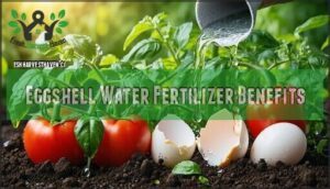 eggshell water fertilizer benefits