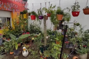 El Espacio de las Hadas