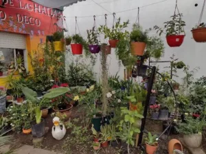 El Espacio de las Hadas