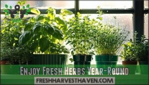 enjoy fresh herbs year-round
