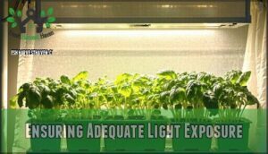 ensuring adequate light exposure
