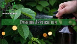 evening application