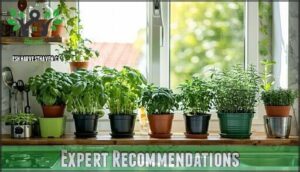 expert recommendations