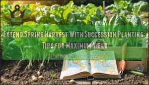 extend spring harvest with succession planting