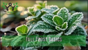 fall frost basics