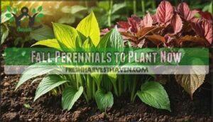 fall perennials to plant