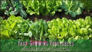 fast-growing vegetables