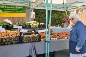 Felton Farmers Market