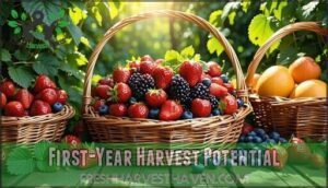 first-year harvest potential