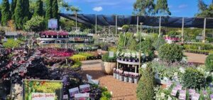 Flower Power Garden Centre Glenhaven
