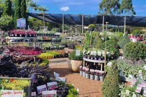 Flower Power Garden Centre Glenhaven