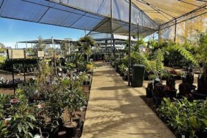 Flower Power Garden Centre Penrith