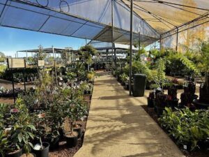 Flower Power Garden Centre Penrith