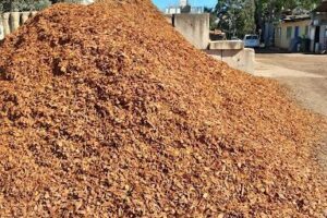 Forsters Landscape Supplies - Trinity Gardens