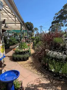 Four Seasons Garden Centre - Mount Colah (The Plant Bug)