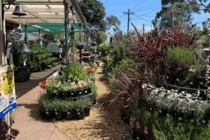 Four Seasons Garden Centre - Mount Colah (The Plant Bug)