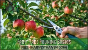 fruit tree pruning basics
