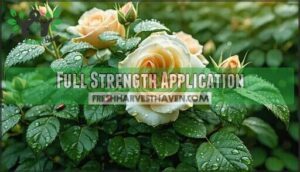 full strength application