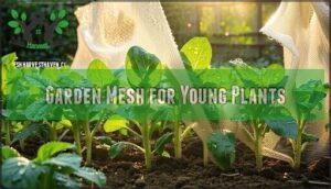 garden mesh for young plants