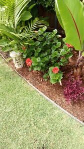 Gardencraft horticulture