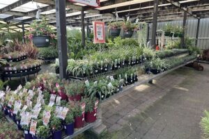 Gardenworld