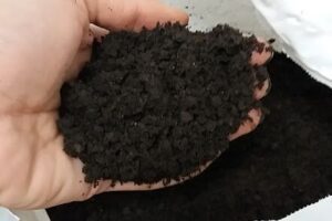 GEO PACA Tu vivero online! BOEDO arboles frutales, mesas de cultivo y mucho mas