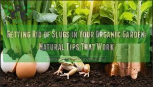 getting rid slugs organic garden