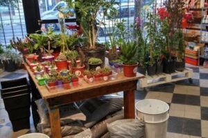 Grama Growshop