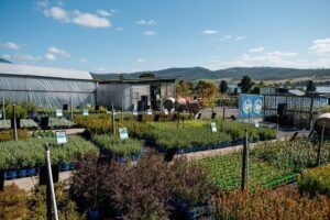 Granton Plants