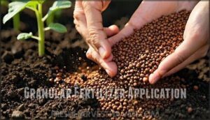 granular fertilizer application