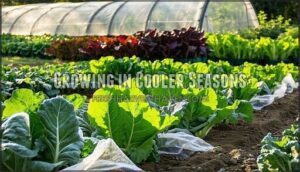 growing in cooler seasons