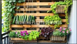growing plants upwards
