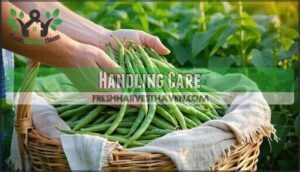 handling care