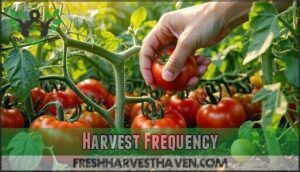 harvest frequency