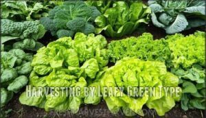 harvesting by leafy green type