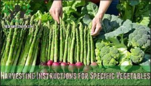 harvesting instructions for specific vegetables