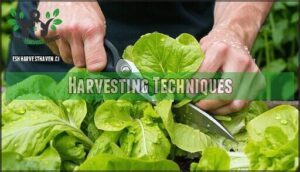 harvesting techniques