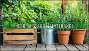 herb care and maintenance