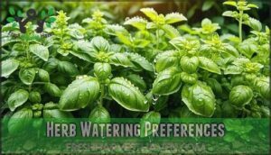 herb watering preferences