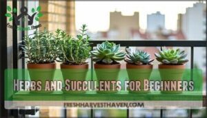 herbs and succulents for beginners